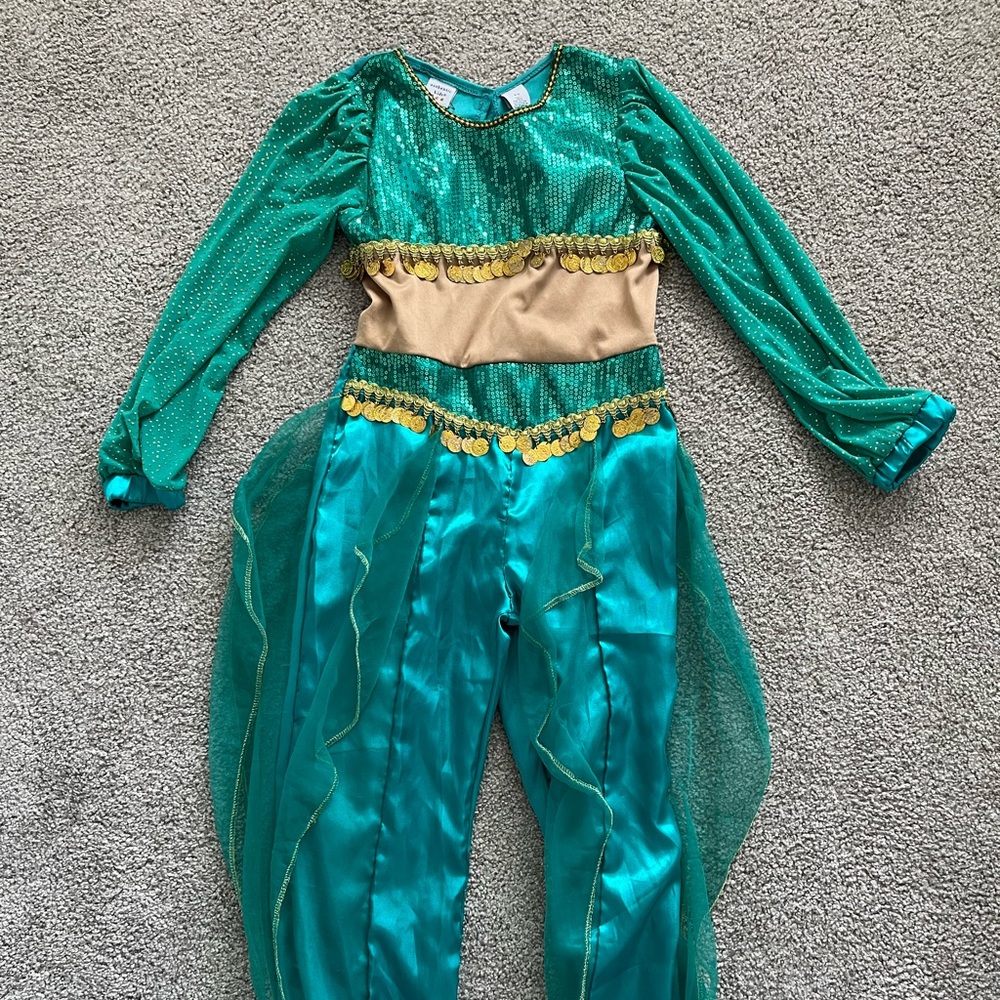 Arabian Princess Jasmine style Halloween costume